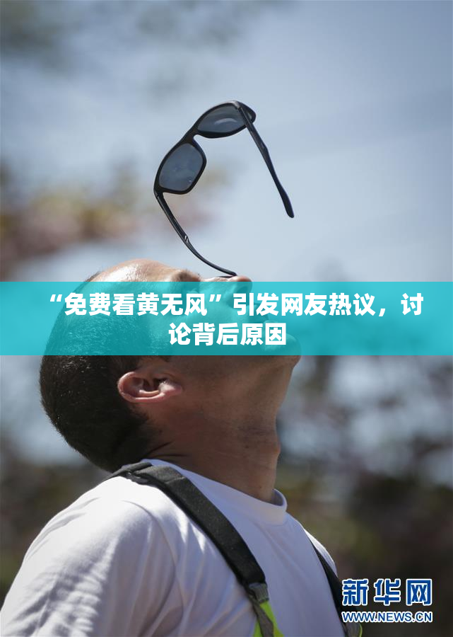 “免费看黄无风”引发网友热议，讨论背后原因