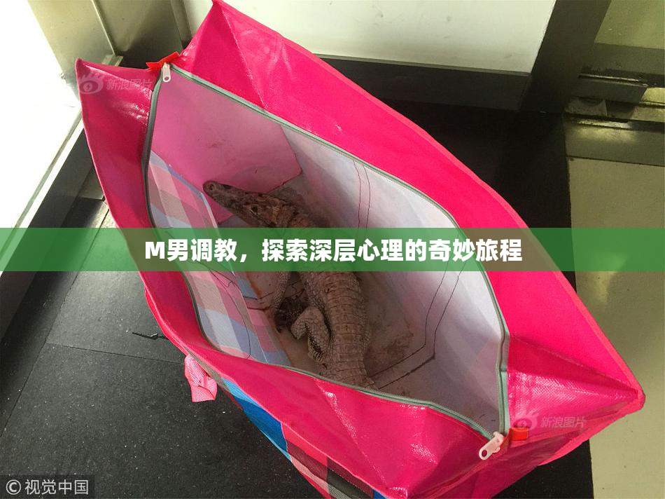 M男调教，探索深层心理的奇妙旅程