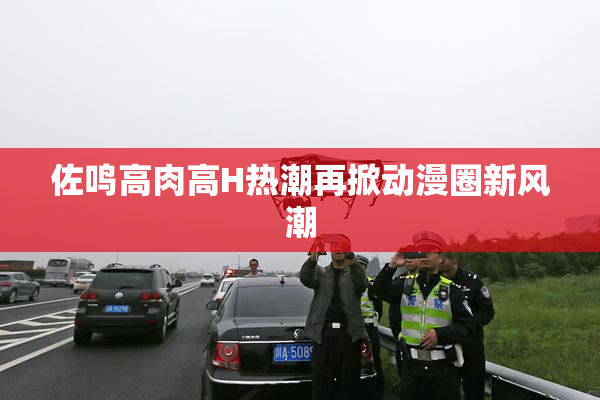 佐鸣高肉高H热潮再掀动漫圈新风潮