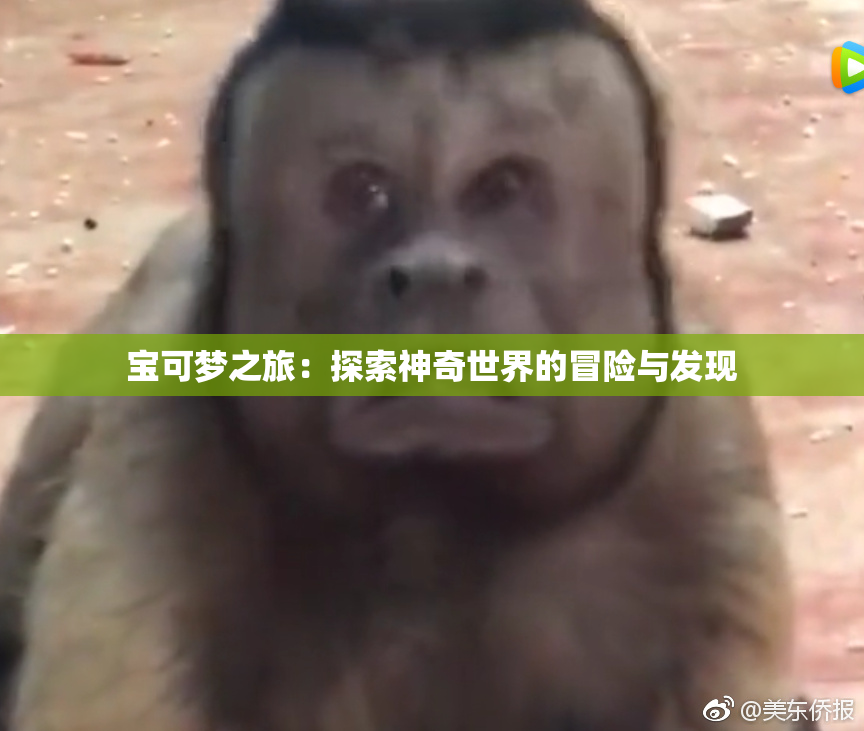 宝可梦之旅：探索神奇世界的冒险与发现