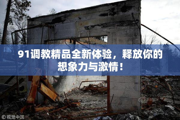 91调教精品全新体验，释放你的想象力与激情！