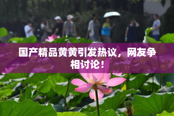 国产精品黄黄引发热议，网友争相讨论！