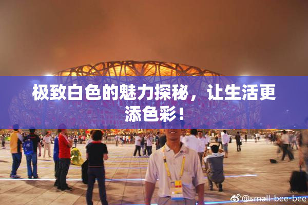 极致白色的魅力探秘，让生活更添色彩！