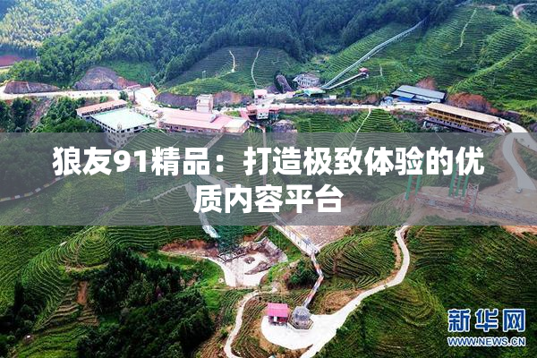 狼友91精品：打造极致体验的优质内容平台