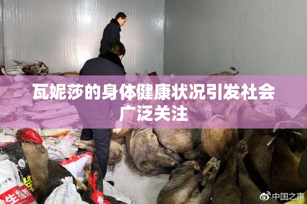 瓦妮莎的身体健康状况引发社会广泛关注
