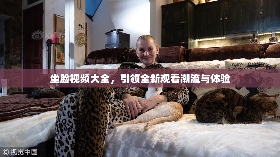 坐脸视频大全，引领全新观看潮流与体验