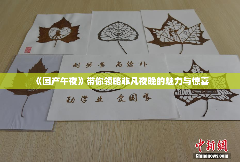 《国产午夜》带你领略非凡夜晚的魅力与惊喜