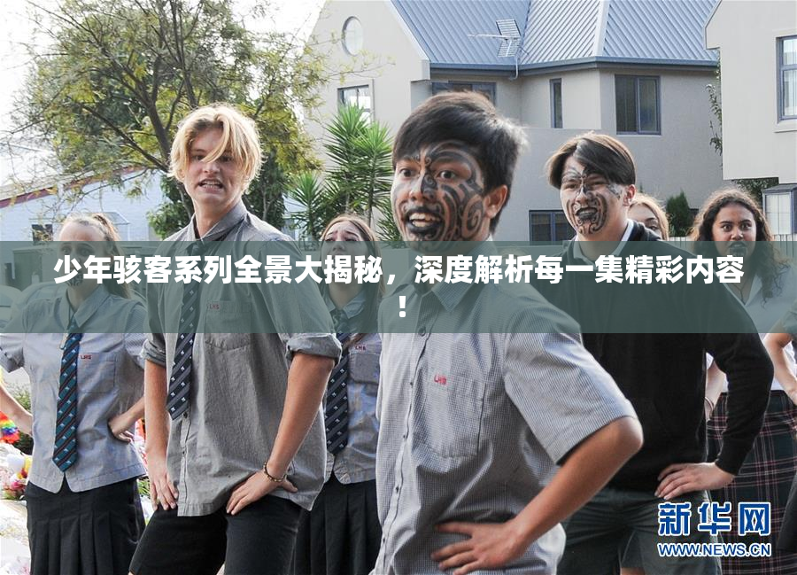 少年骇客系列全景大揭秘，深度解析每一集精彩内容！