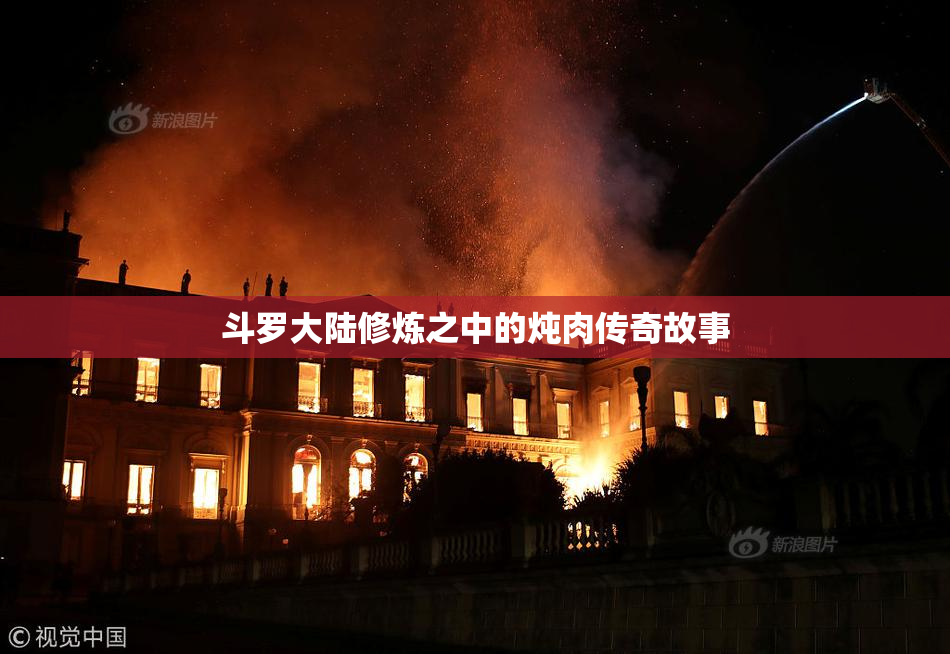 斗罗大陆修炼之中的炖肉传奇故事