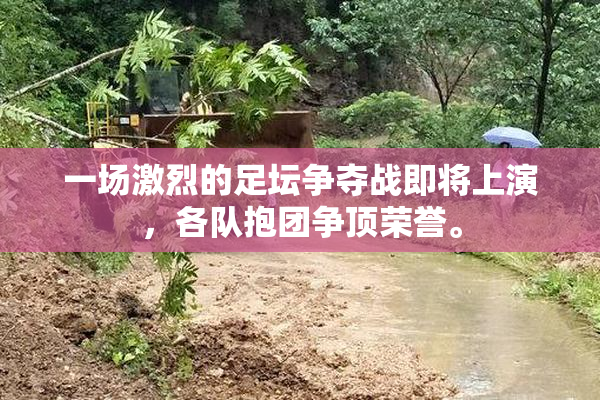 一场激烈的足坛争夺战即将上演，各队抱团争顶荣誉。