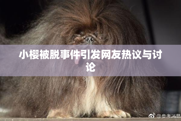 小樱被脱事件引发网友热议与讨论