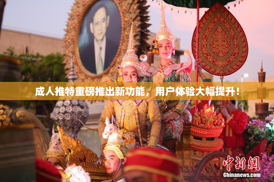 成人推特重磅推出新功能，用户体验大幅提升！
