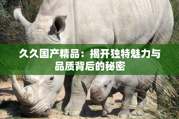 久久国产精品：揭开独特魅力与品质背后的秘密