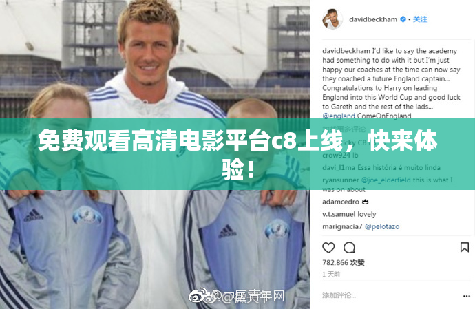 免费观看高清电影平台c8上线，快来体验！