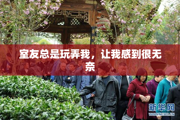 室友总是玩弄我，让我感到很无奈