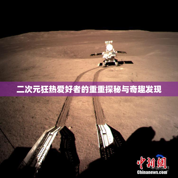 二次元狂热爱好者的重重探秘与奇趣发现