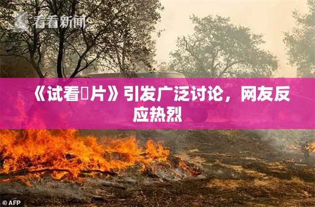 《试看婬片》引发广泛讨论，网友反应热烈