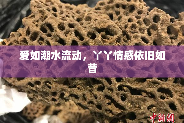 爱如潮水流动，丫丫情感依旧如昔