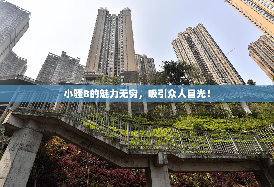 小骚B的魅力无穷，吸引众人目光！