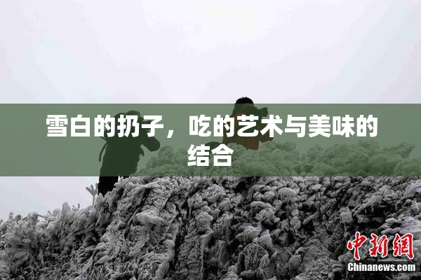 雪白的扔子，吃的艺术与美味的结合