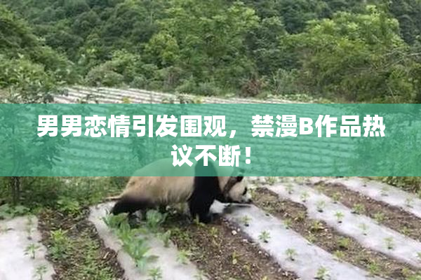 男男恋情引发围观，禁漫B作品热议不断！