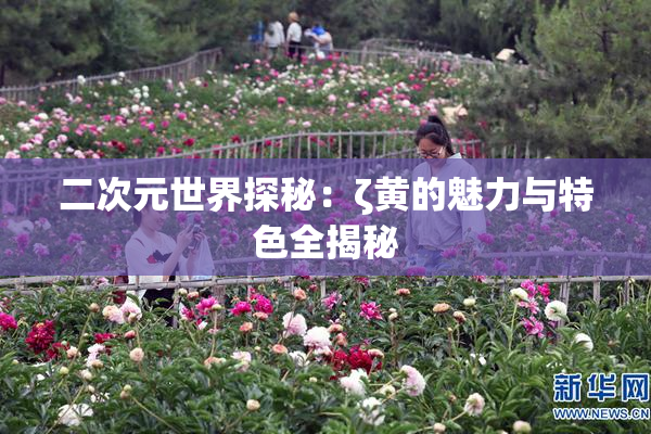 二次元世界探秘：ζ黄的魅力与特色全揭秘
