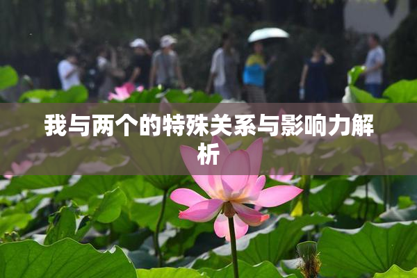 我与两个的特殊关系与影响力解析