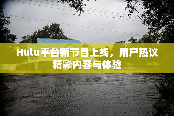 Hulu平台新节目上线，用户热议精彩内容与体验