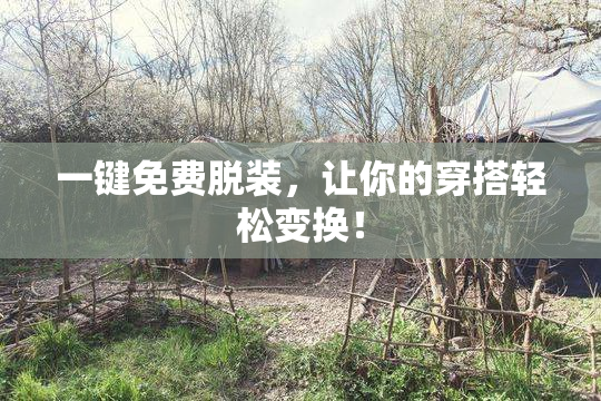 一键免费脱装，让你的穿搭轻松变换！