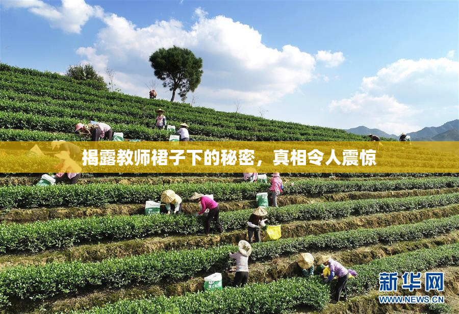 揭露教师裙子下的秘密，真相令人震惊