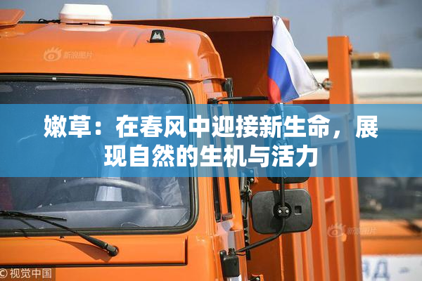 嫩草：在春风中迎接新生命，展现自然的生机与活力
