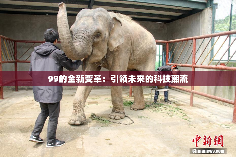 99的全新变革：引领未来的科技潮流