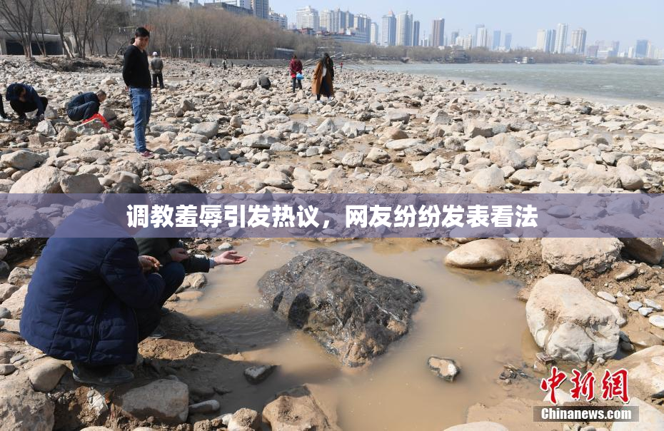 调教羞辱引发热议，网友纷纷发表看法