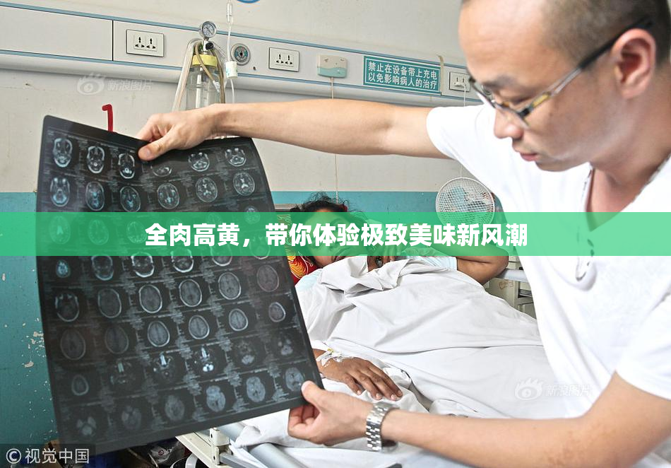 全肉高黄，带你体验极致美味新风潮