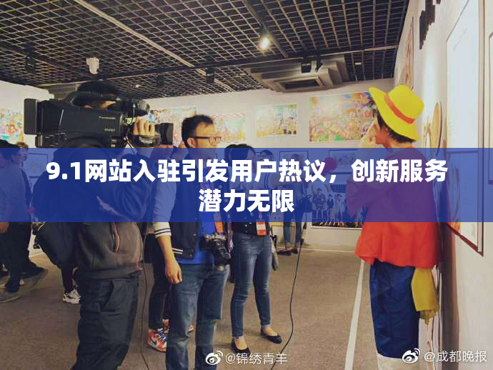9.1网站入驻引发用户热议，创新服务潜力无限
