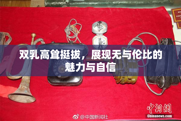 双乳高耸挺拔，展现无与伦比的魅力与自信