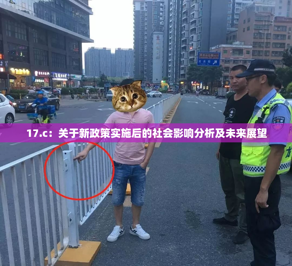 17.c：关于新政策实施后的社会影响分析及未来展望