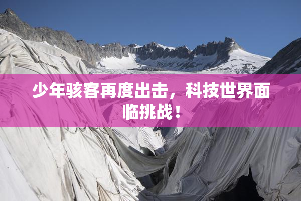 少年骇客再度出击，科技世界面临挑战！