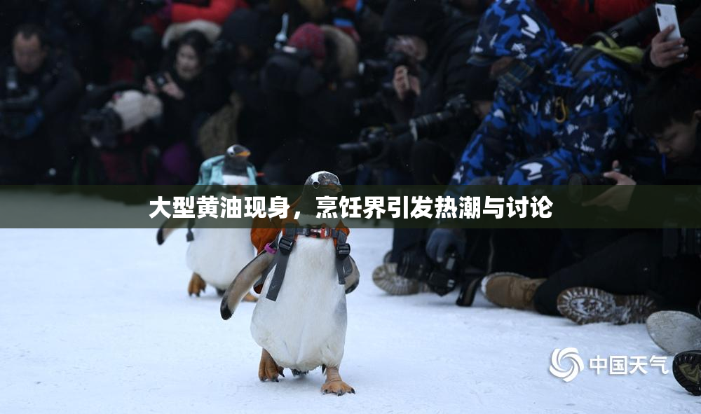 大型黄油现身，烹饪界引发热潮与讨论