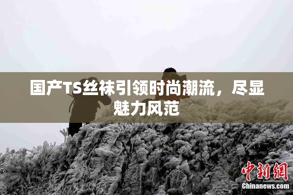 国产TS丝袜引领时尚潮流，尽显魅力风范