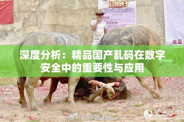 深度分析：精品国产乱码在数字安全中的重要性与应用