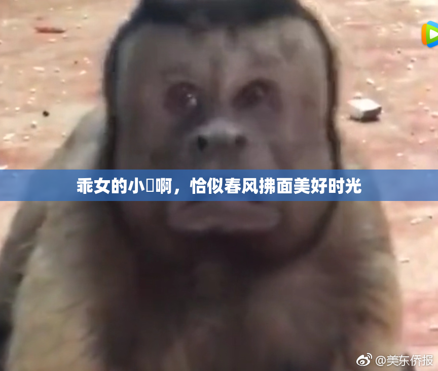 乖女的小泬啊，恰似春风拂面美好时光