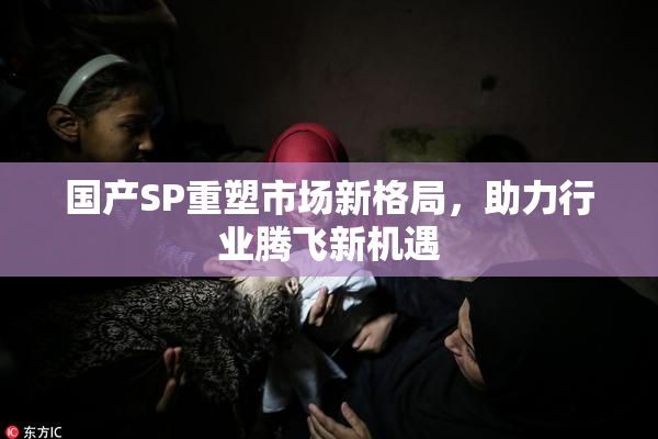 国产SP重塑市场新格局，助力行业腾飞新机遇