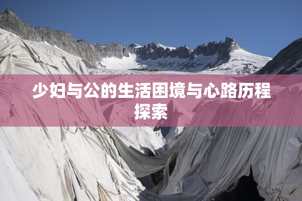 少妇与公的生活困境与心路历程探索