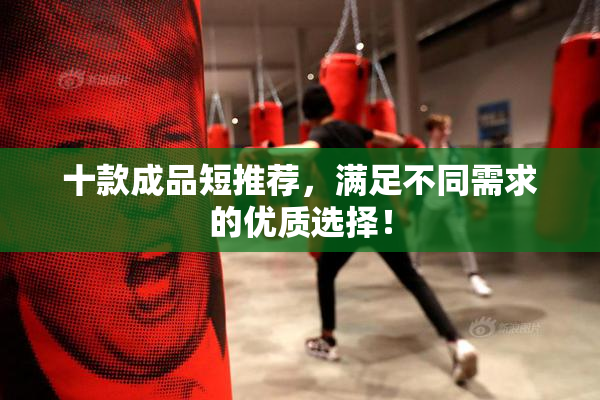 十款成品短推荐，满足不同需求的优质选择！