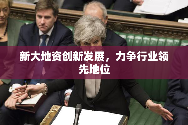 新大地资创新发展，力争行业领先地位