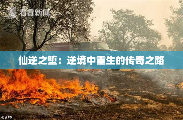 仙逆之堕：逆境中重生的传奇之路