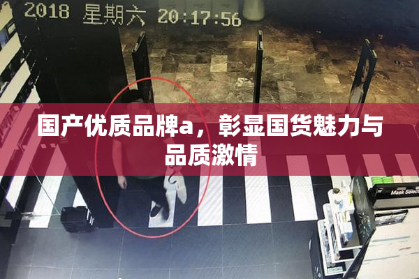 国产优质品牌a，彰显国货魅力与品质激情