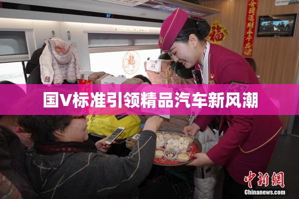 国V标准引领精品汽车新风潮