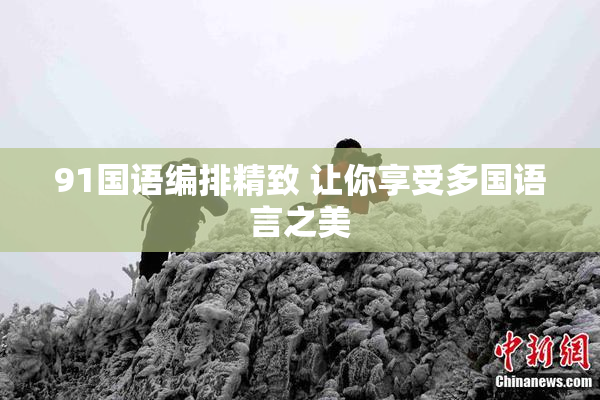 91国语编排精致 让你享受多国语言之美